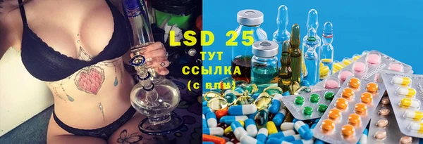 спайс Гусев